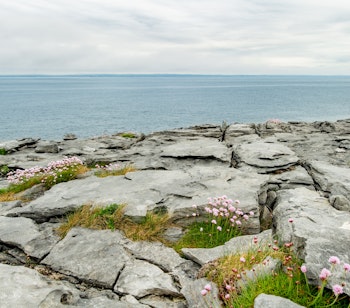 Tåget kalkstenslandskab i The Burren, County Clare, med karakteristiske klippeformationer langs vej gennem det rå irske naturområde