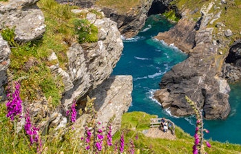 Historiske Tintagel Slot med lilla fingerbølblomster og betagende udsigt over Cornwalls dramatiske kystlinje i England