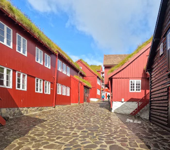 Røde skandinaviske træhuse med grønne græstage langs en brolagt gade i Tinganes-kvarteret i Tórshavn på Færøerne