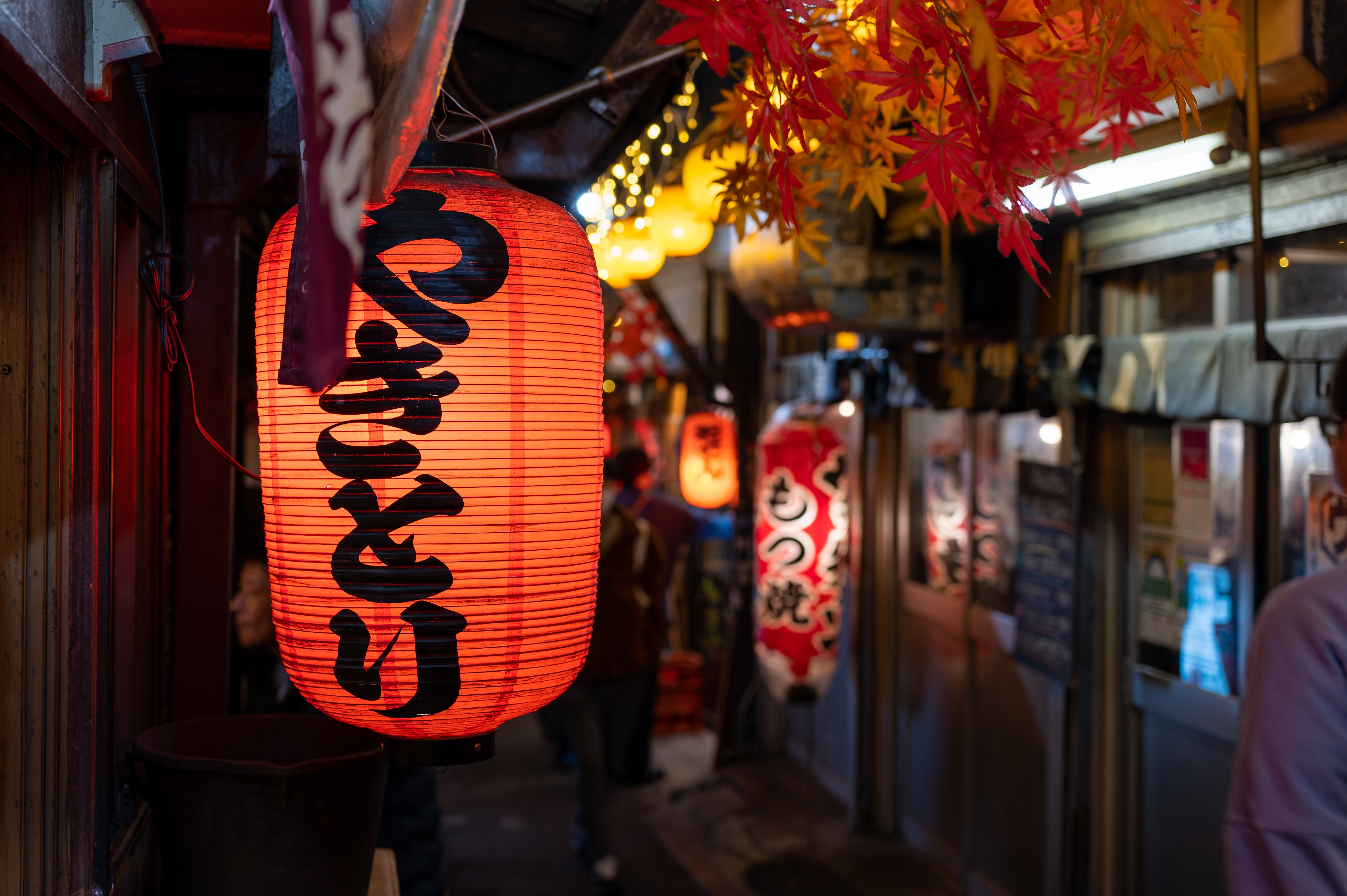 Traditionelle røde japanske lanterner lyser op i Shinjukus livlige natteliv i Tokyo med restauranter og barer i baggrunden