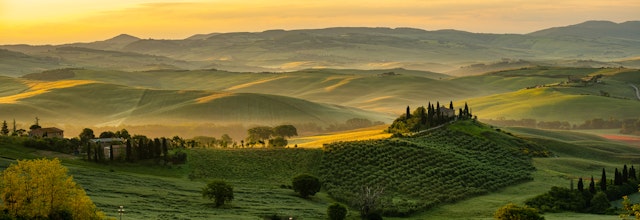 Betagende panorama af Toscanas bølgende grønne bakker med cyprestræer og landlige gårde indhyllet i gylden morgendis, det klassiske italienske landskab