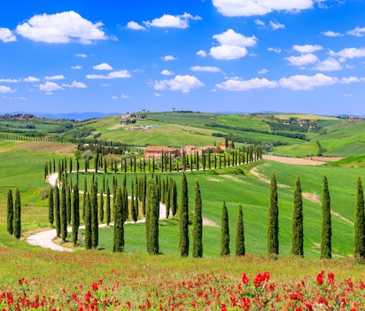 Idyllisk landskab i Val d'Orcia, Toscana med bølgende grønne bakker, cyprestræer, landhus og snoet grusvej under en smuk himmel