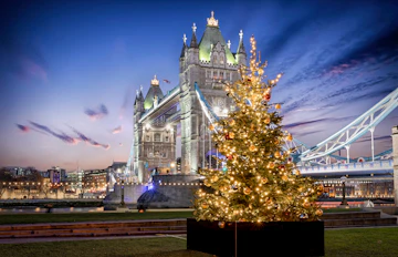 Tower Bridge i London oplyst ved juletid med pyntet juletræ og festlige lys om aftenen