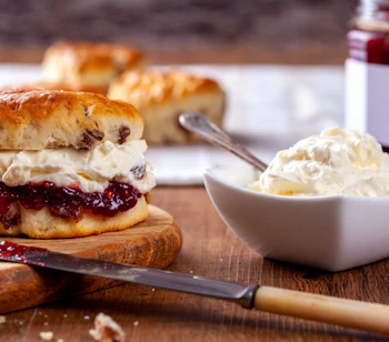 Traditionel engelsk cream tea med hjemmebagte scones, jordbærmarmelade og clotted cream fra Cornwall, serveret på hvid tallerken