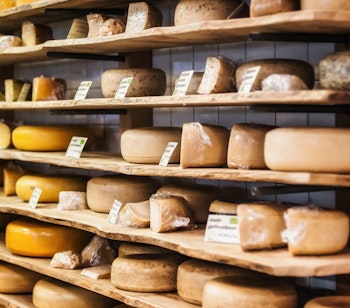 Udvalg af traditionelle hollandske oste på træhylder i en specialbutik i Amsterdam, perfekt til at opleve lokal madkultur på din rejse til Holland