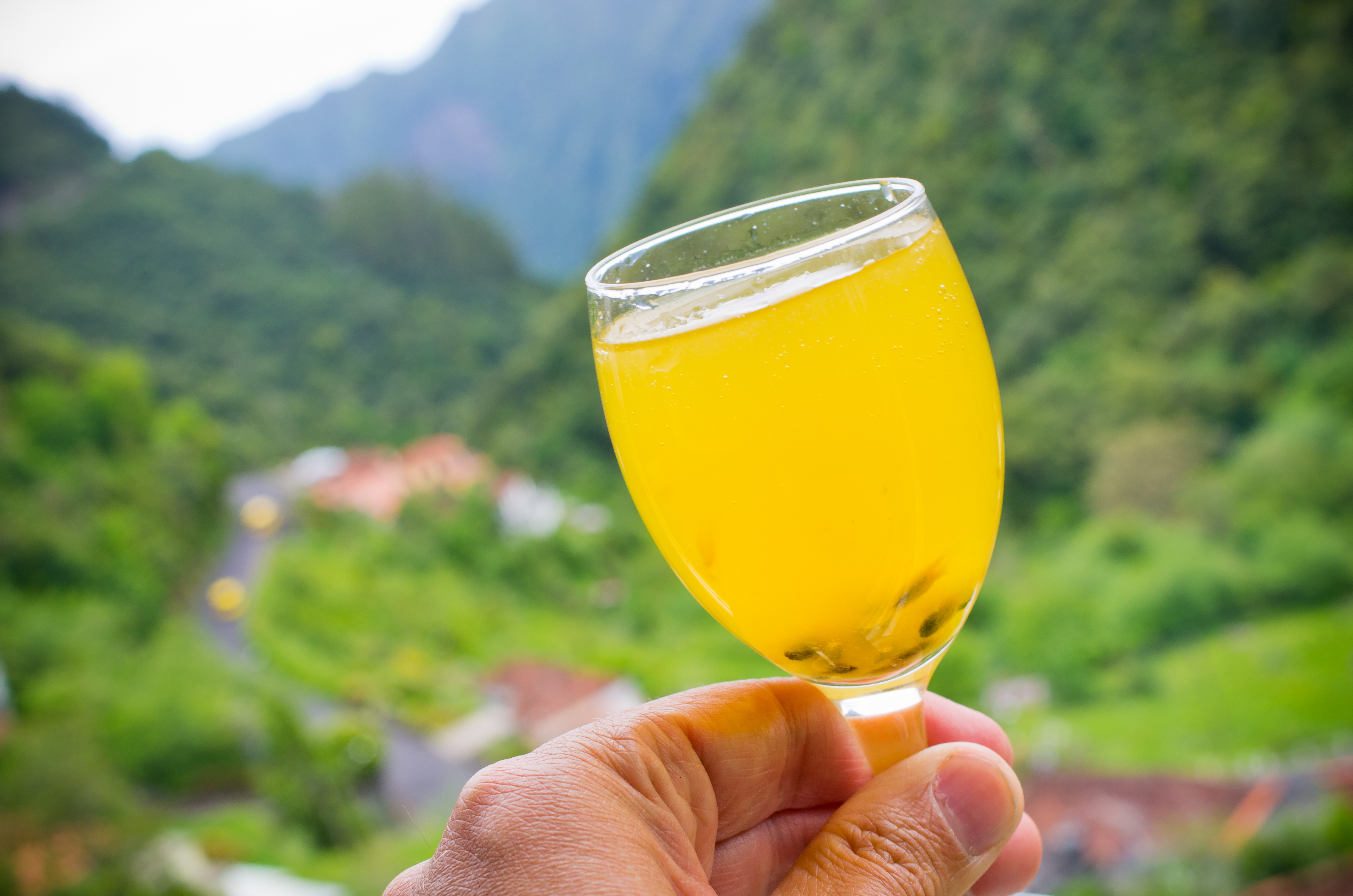 Traditionel Madeira poncha drink i glas, lavet med aguardente branca sukkerrørssnaps, citron og honning, som kan smages på markedet i Funchal