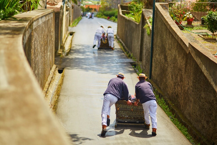 Traditionel toboggan-kælketur i Funchal, Madeira, hvor lokale førere i hvide dragter og stråhatte skubber turister ned ad bakken i træslæder
