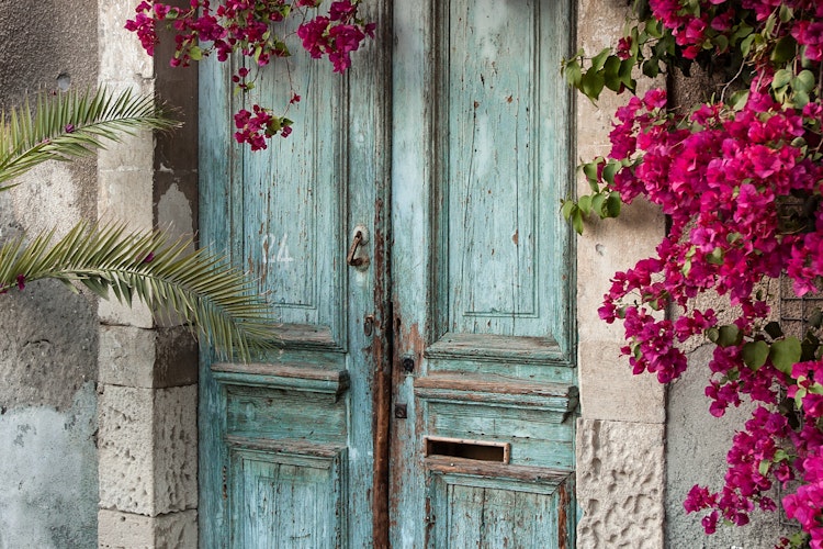 Charmerende gammel træ-dør prydet med farverige bougainvillea blomster på Cypern, perfekt eksempel på traditionel middelhavsarkitektur