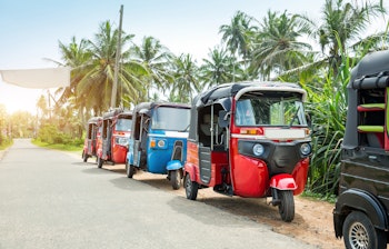Farverig traditionel tuk-tuk taxi kører på en frodig tropisk vej i Sri Lanka omgivet af grøn vegetation og palmer