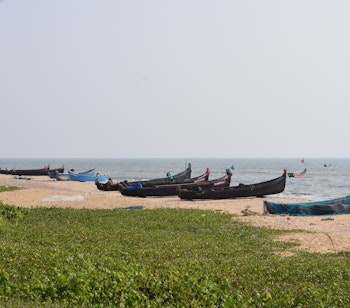 Traditionelle fiskerbåde på den idylliske sandstrand i Kerala, Indien, omgivet af frodig vegetation og det krystalklare blå hav under en skyfri himmel