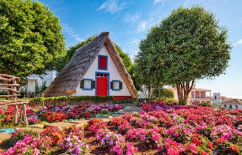 Farverige traditionelle huse med trekantede stråtage omgivet af blomster i Santana på Madeira, Portugal