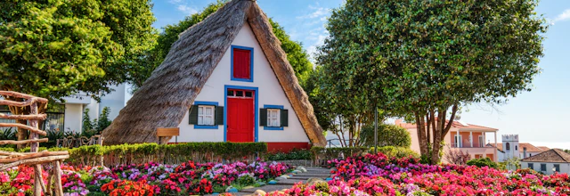 Farverige traditionelle huse med trekantede stråtage omgivet af blomster i Santana på Madeira, Portugal