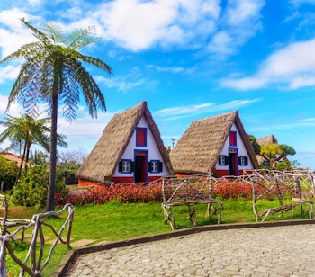 Charmerende traditionelle stråtækte huse i Santana landsby på Madeira med farverige blomster og palmetræer