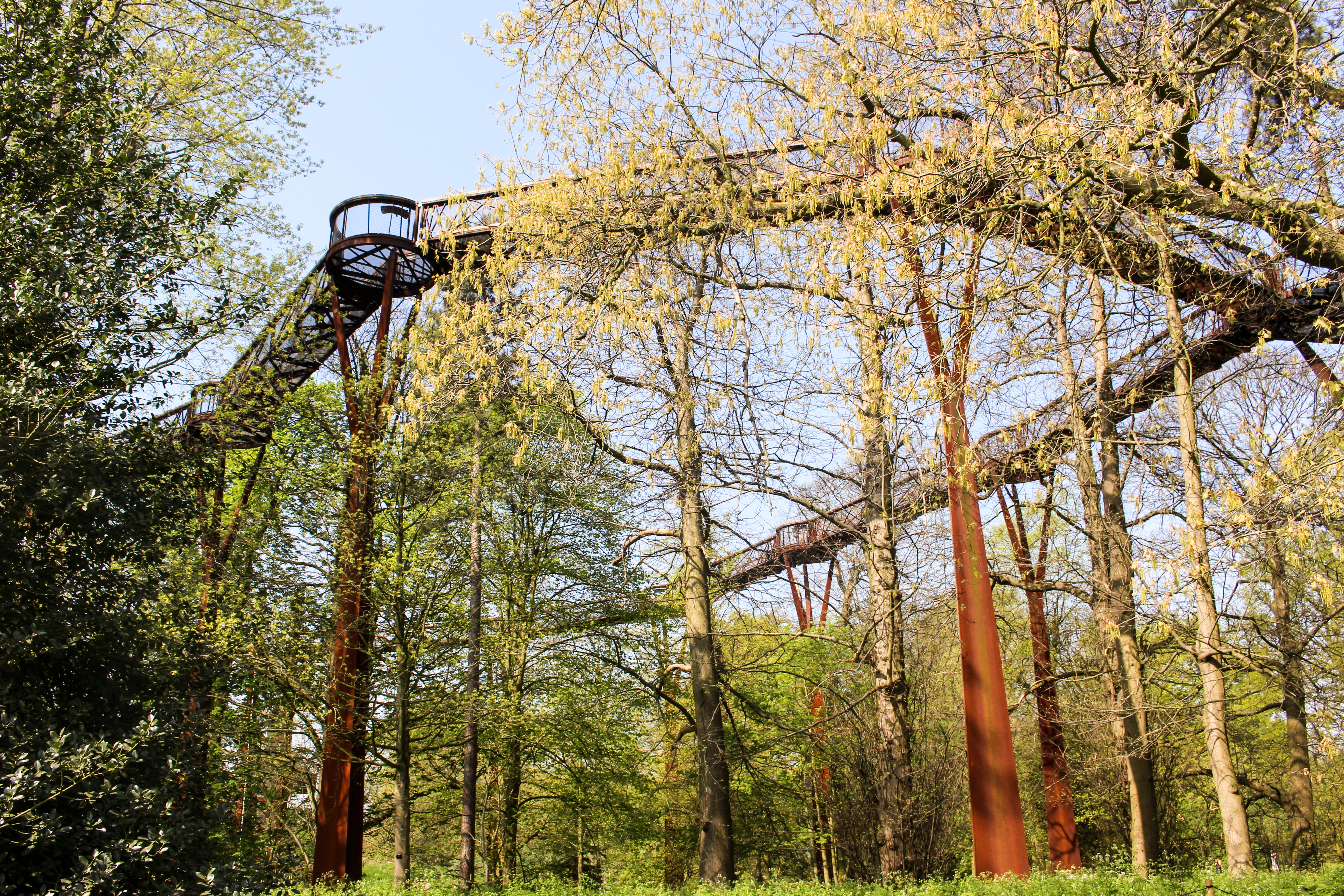 Den imponerende trætop gangbro i Kew Gardens giver besøgende en unik udsigt over Londons berømte botaniske have