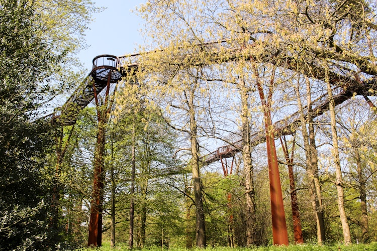 Den imponerende trætop gangbro i Kew Gardens giver besøgende en unik udsigt over Londons berømte botaniske have