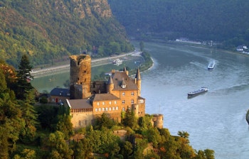 Tropisk skovlandskab med frodig grøn vegetation og solstråler der bryder gennem træerne, perfekt til naturoplevelser