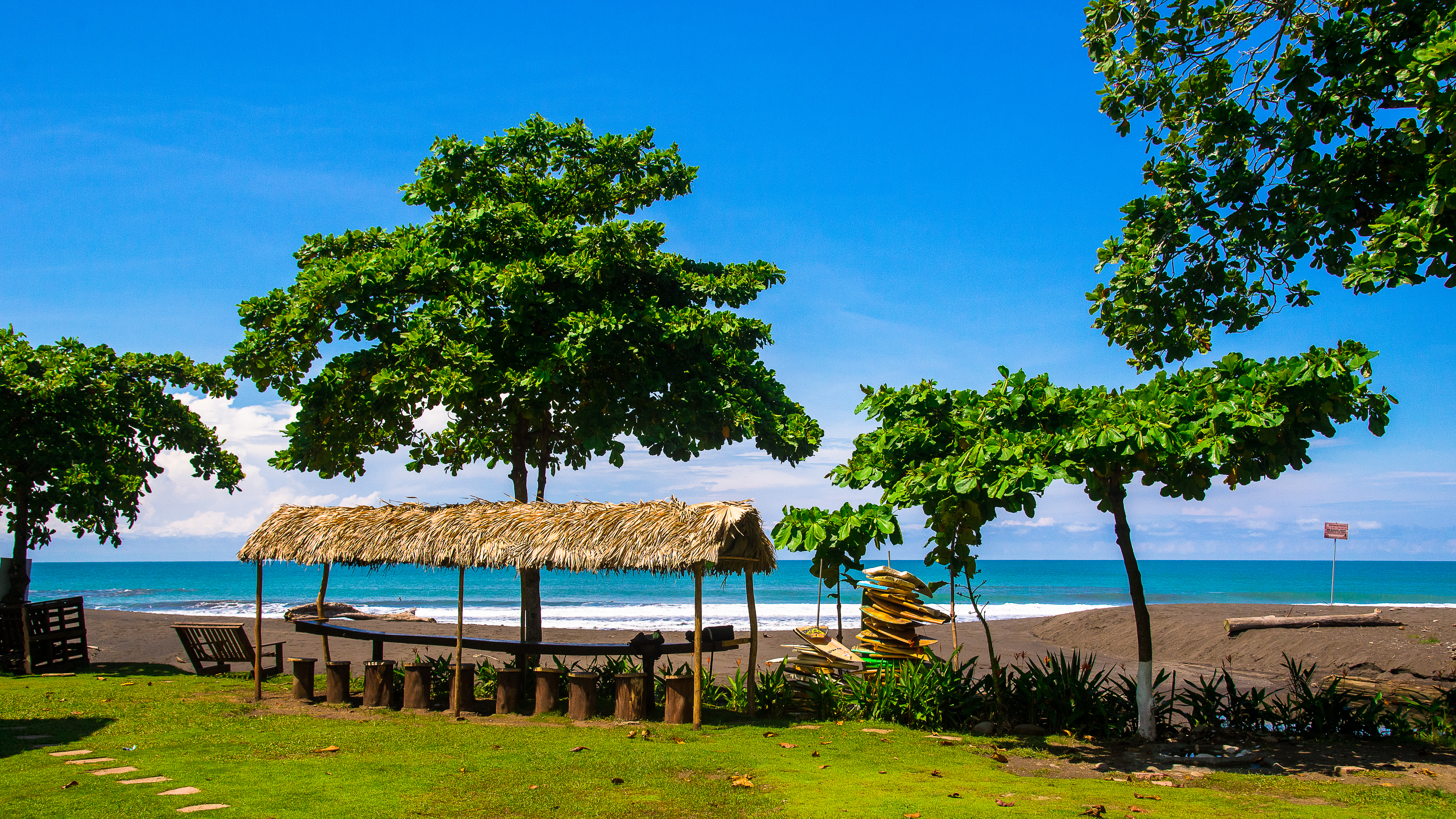 Tropisk strand med stråtag og surfbrædder under palmer i Costa Rica
