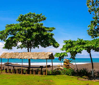 Tropisk strand med stråtag og surfbrædder under palmer i Costa Rica