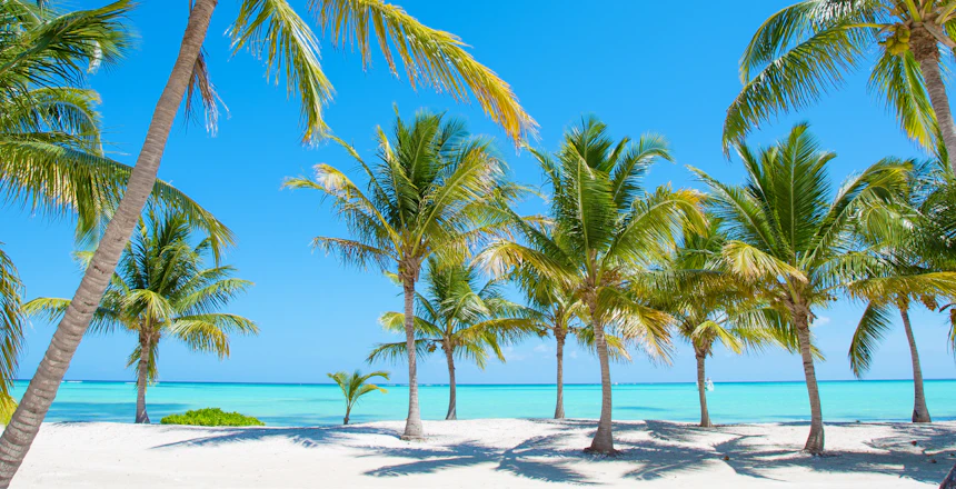 Smuk tropisk strand med palmer og turkisblåt vand på Caribien