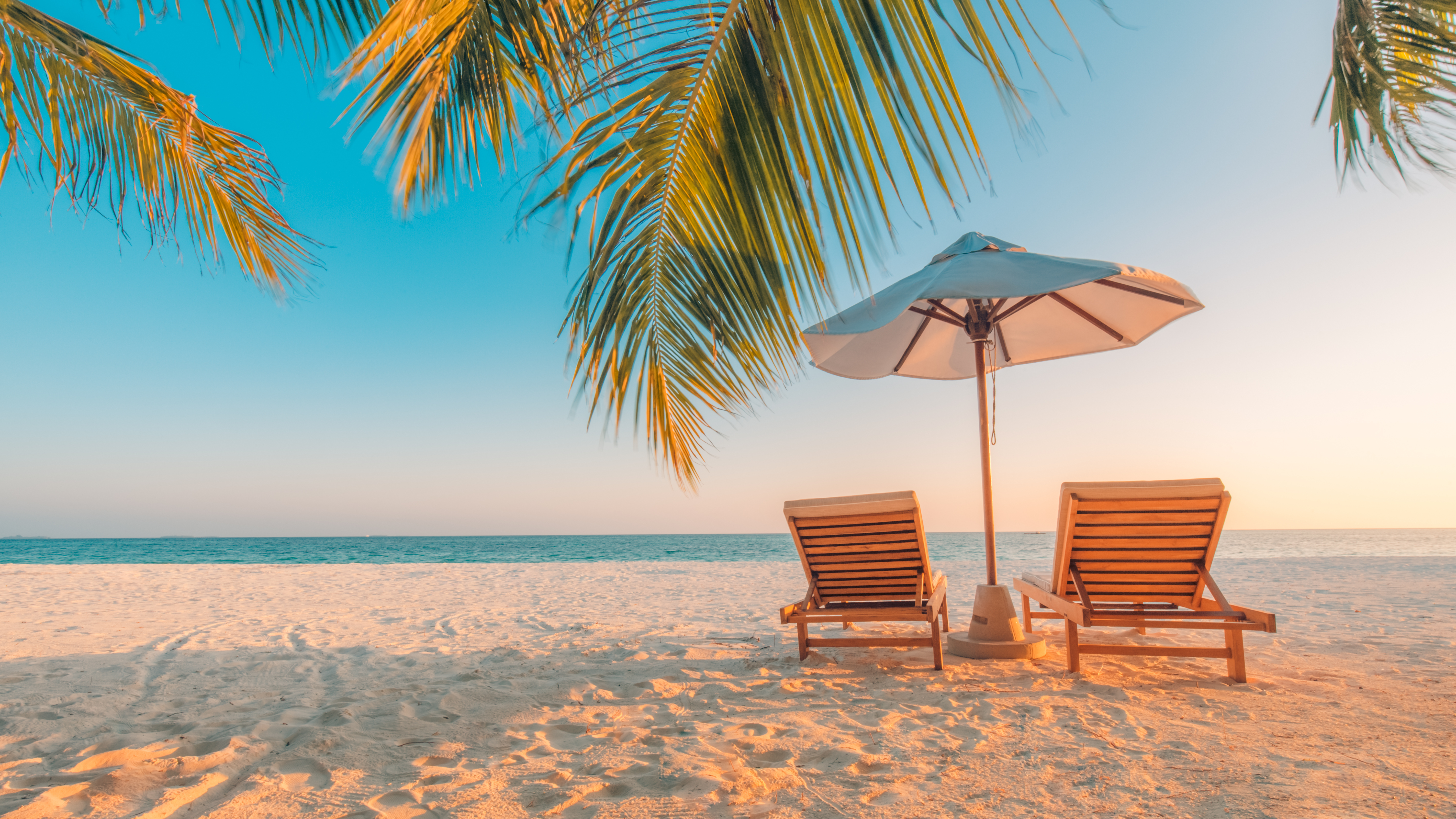Tropisk paradis strand med palmer, liggestole og parasol ved solnedgang