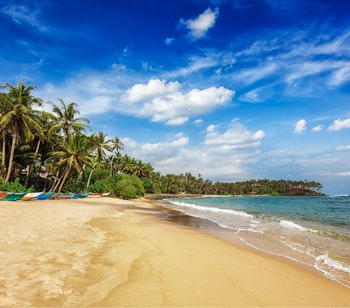 Paradisisk tropisk strand med gyldent sand, vajende kokospalmer og turkisblåt vand i Mirissa, Sri Lanka