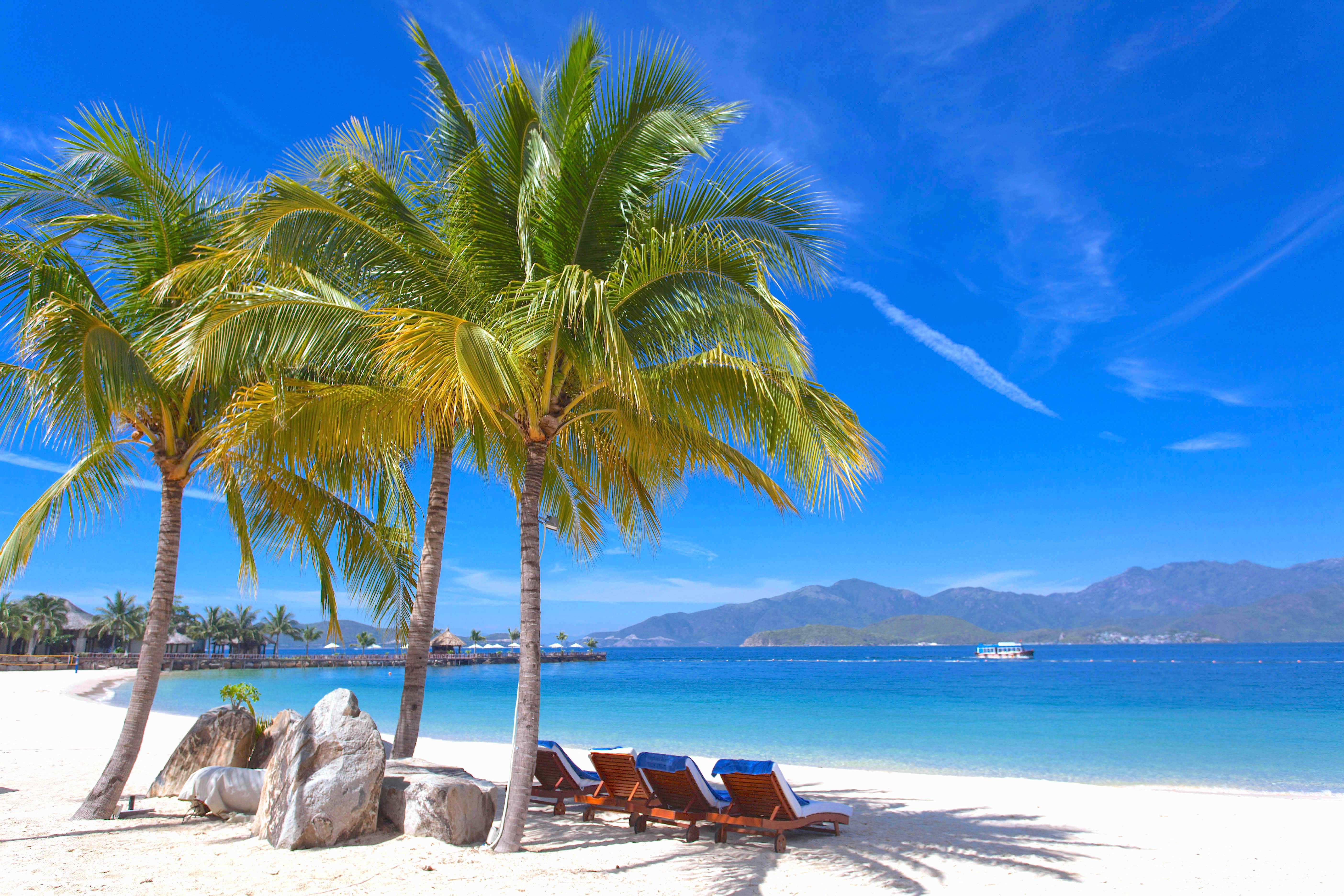 Paradisisk tropisk strand med palmer og solsenge ved det turkise hav i Vietnam