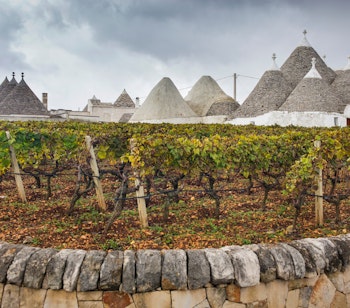 Traditionelle trulli-huse med karakteristiske kegleformede tage omgivet af grønne vinmarker i Alberobello, Puglia