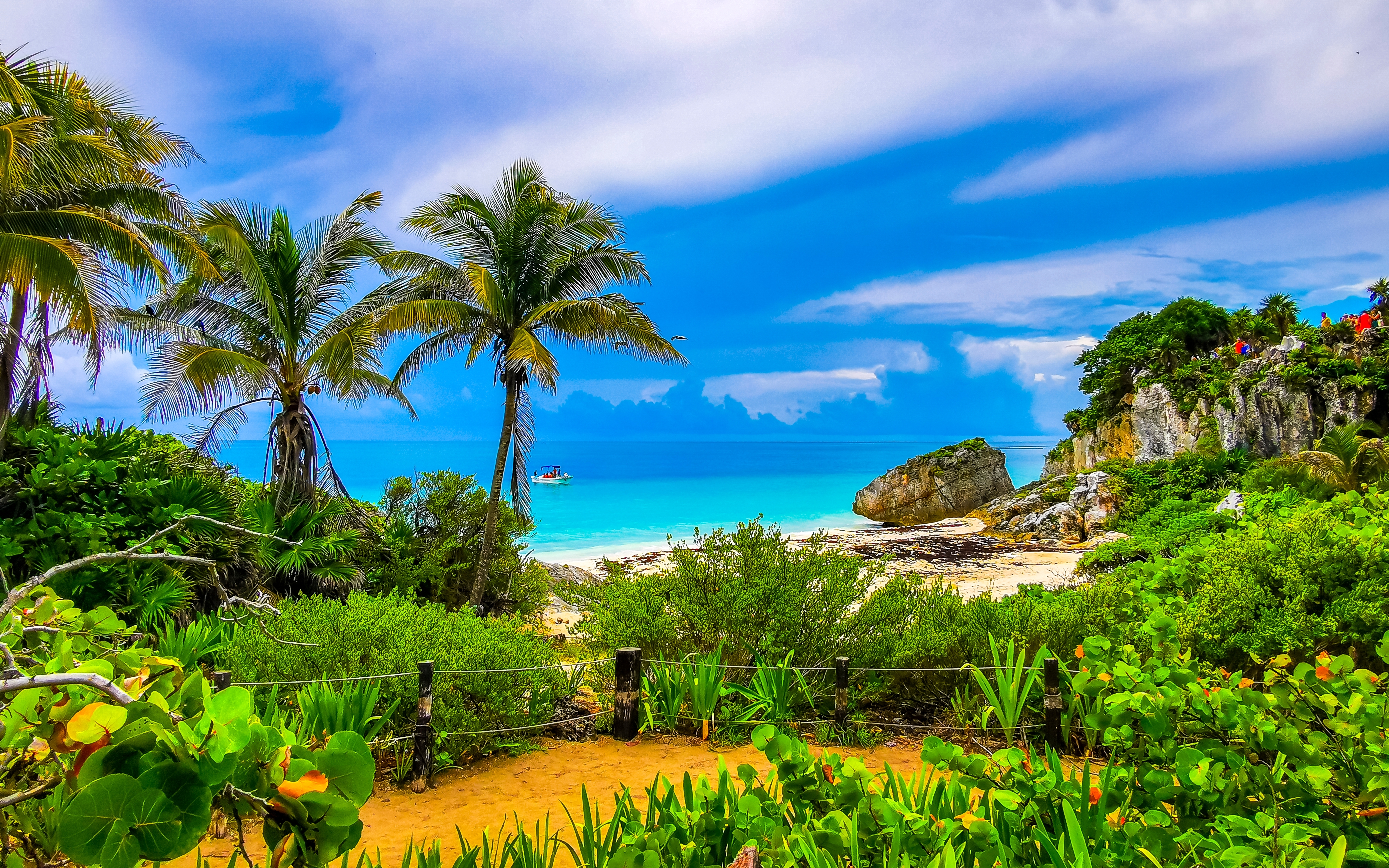 Tropisk paradis strand med turkis vand og palmer i Tulum Mexico