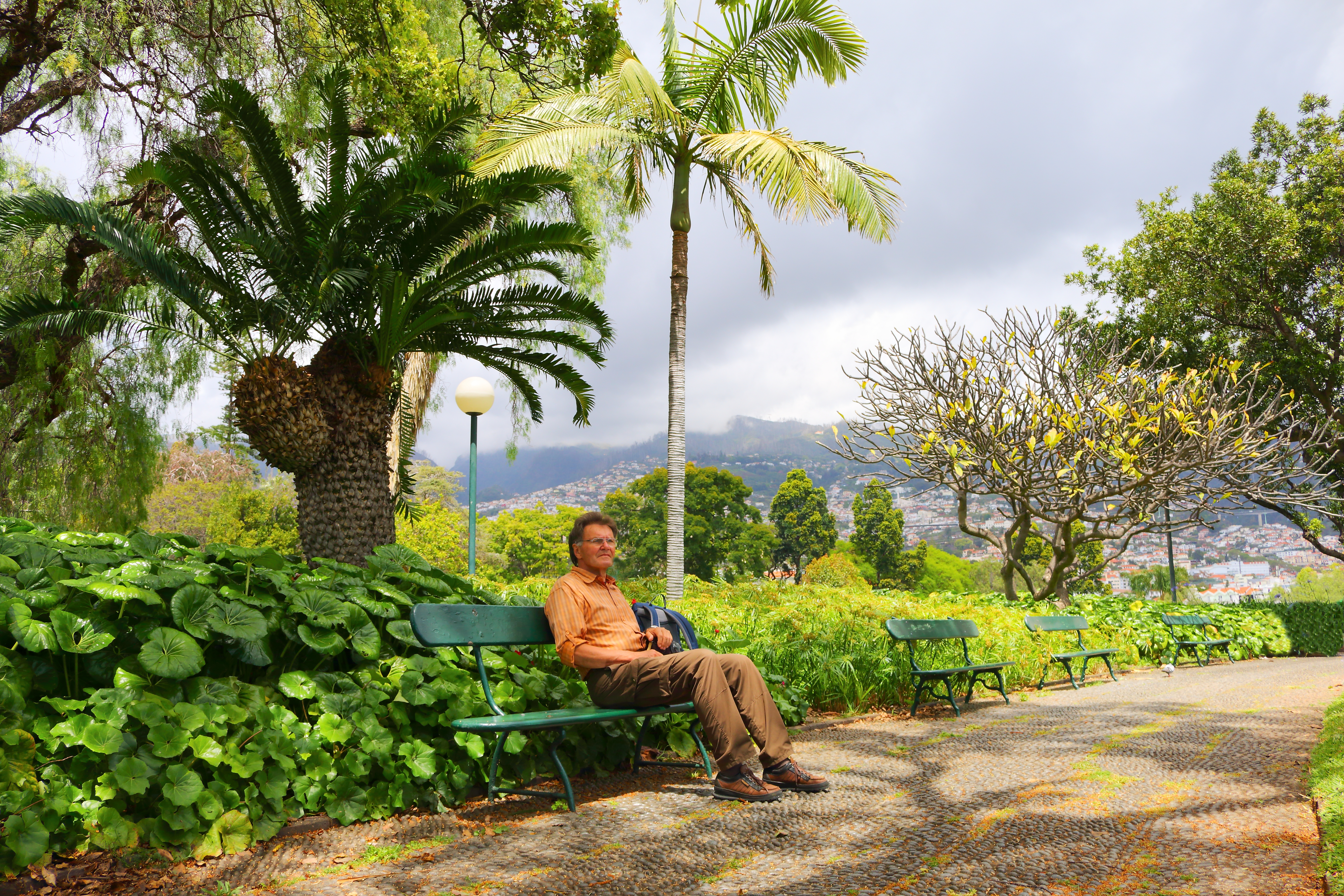 Afslappet turist nyder udsigten fra bænk i den frodige Santa Catarina Park i Funchal på Madeira med palmer og grøn vegetation