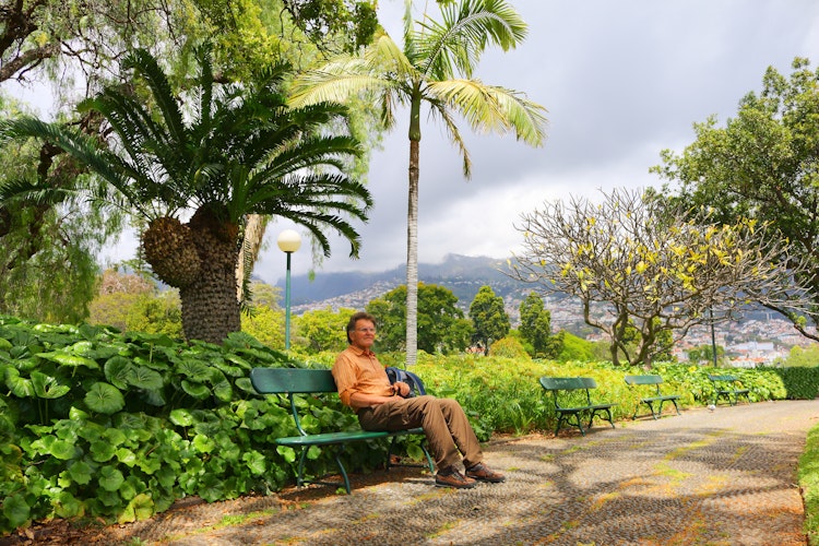 Afslappet turist nyder udsigten fra bænk i den frodige Santa Catarina Park i Funchal på Madeira med palmer og grøn vegetation