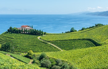 txakoli-vinmarker-getaria-baskerland-spanien