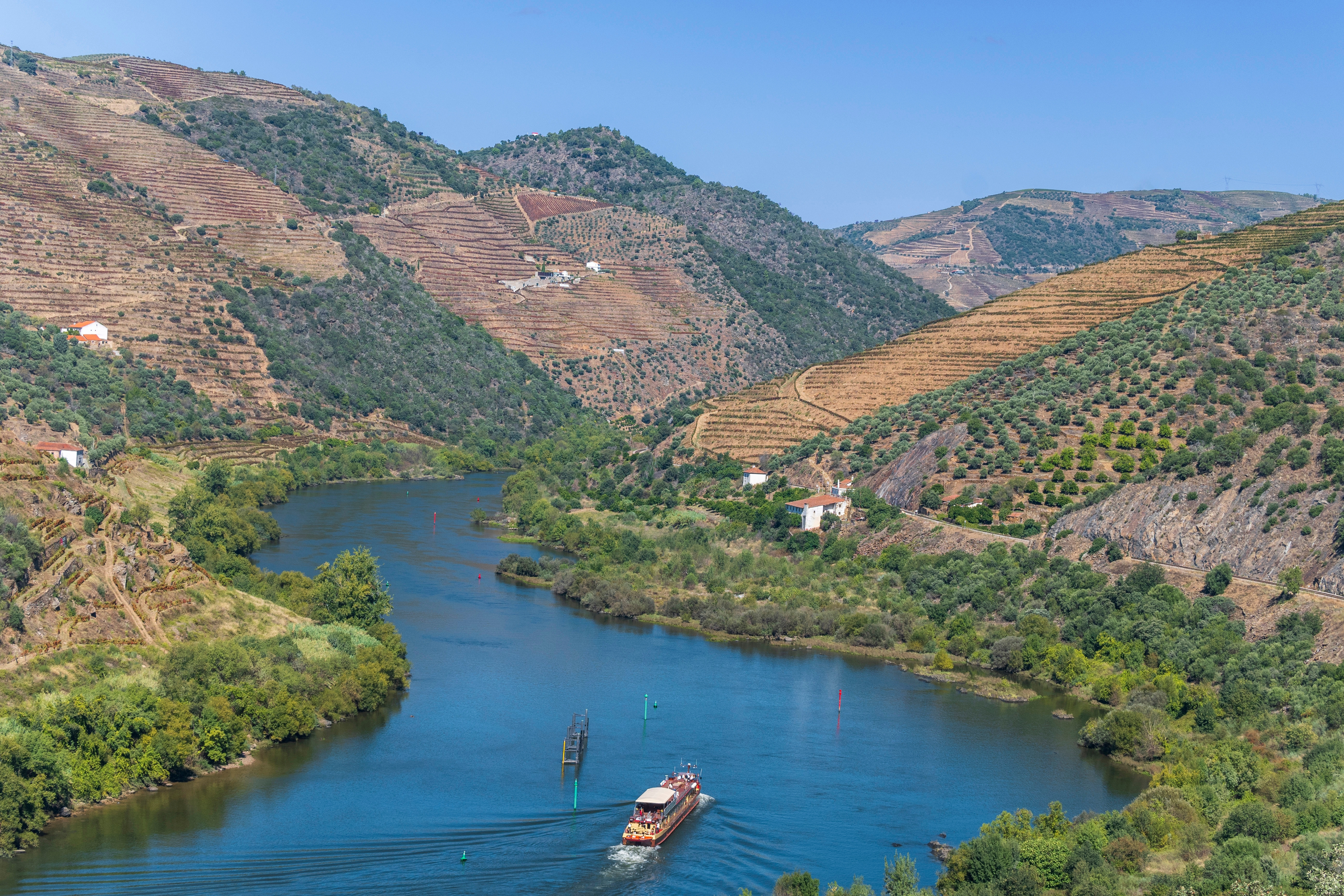 Udflugtsbåd sejler gennem Douro-flodens snoede løb omgivet af grønne vinmarker i Alto Douro vinregionen i Portugal