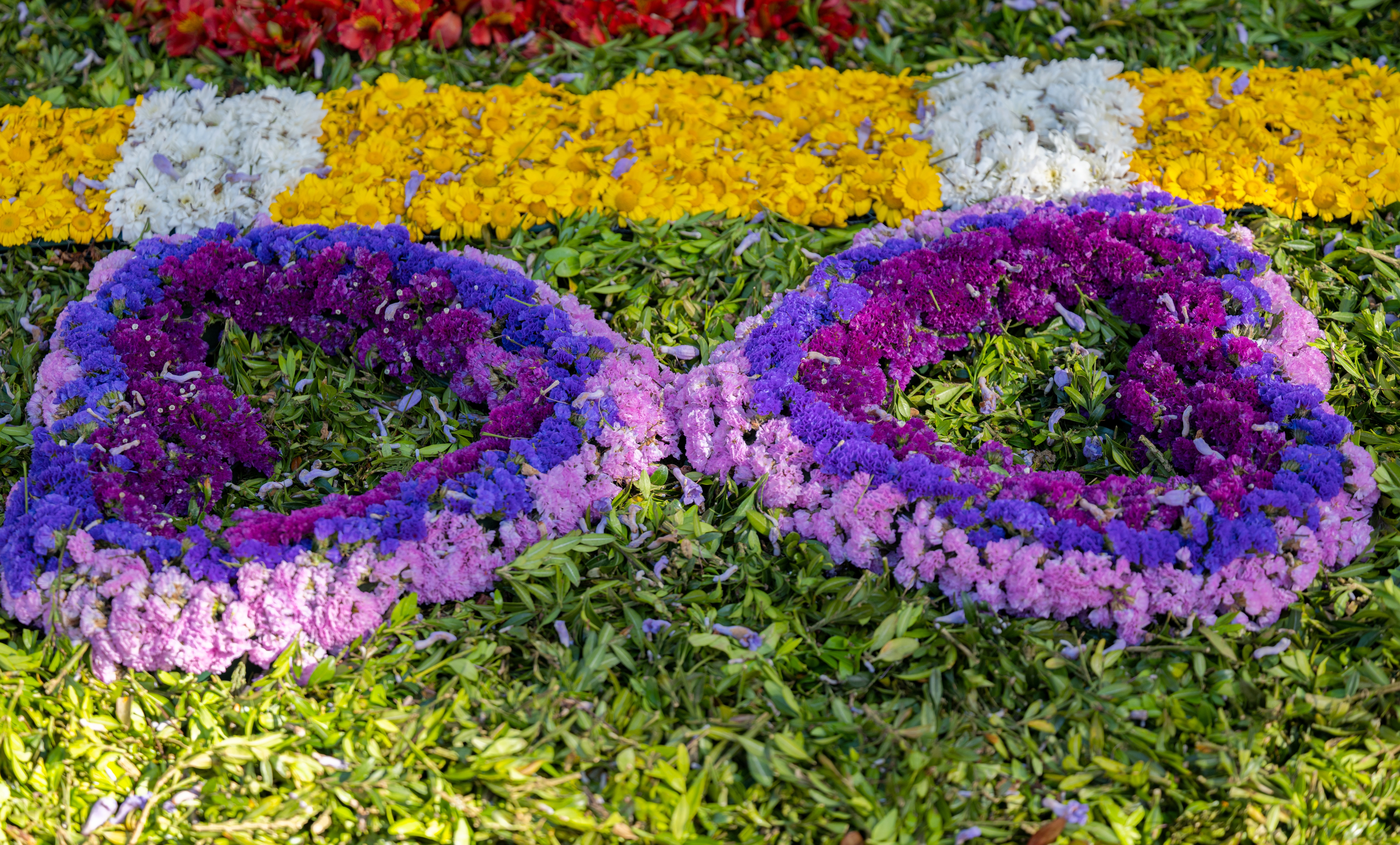 Farverigt uendelighedstegn lavet af lilla og blå blomster på grøn græsplæne med gul blomsterbaggrund
