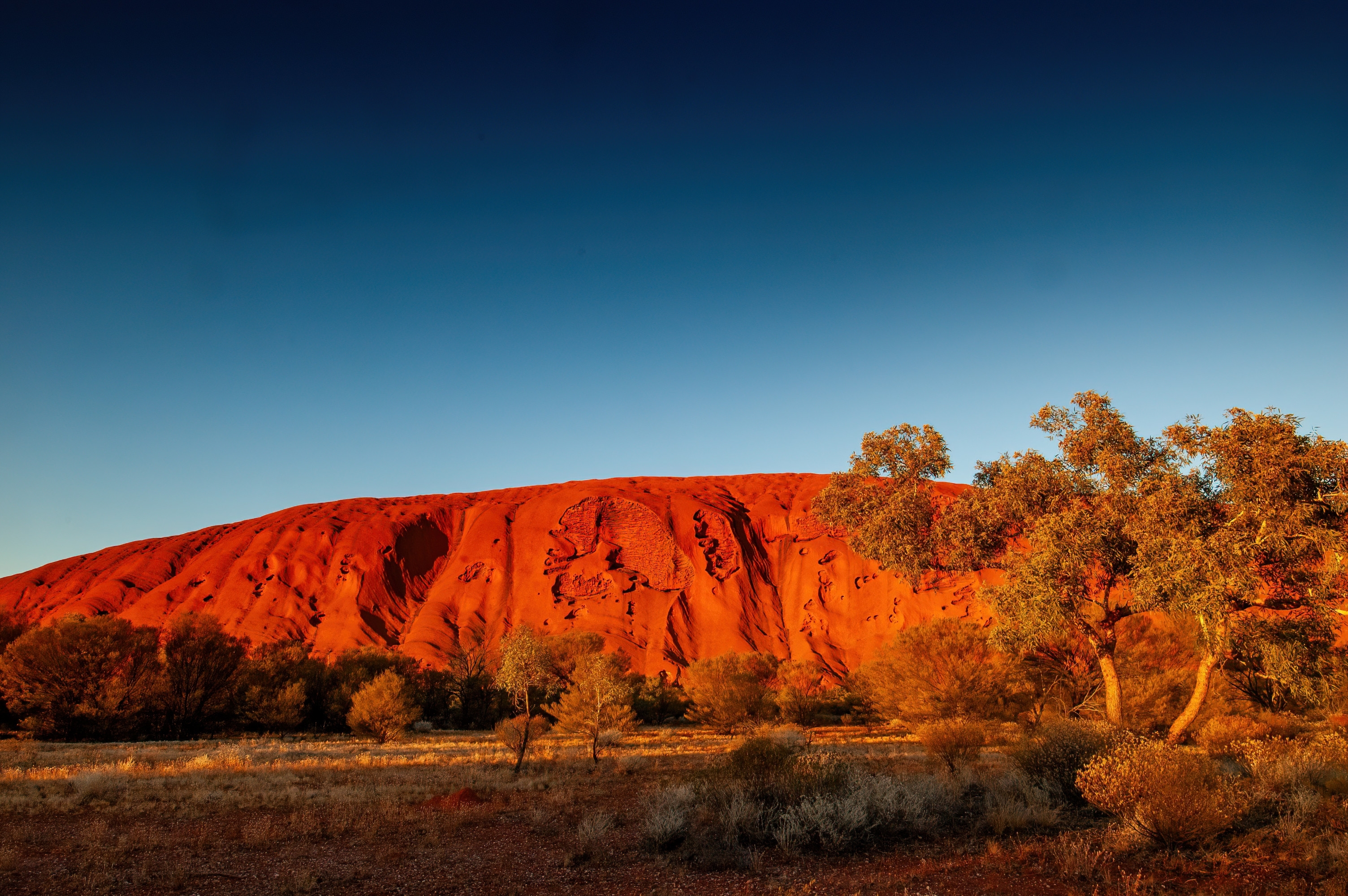 Uluru Ayers Rock lyser roedt ved solnedgang i australsk oekenlandskab