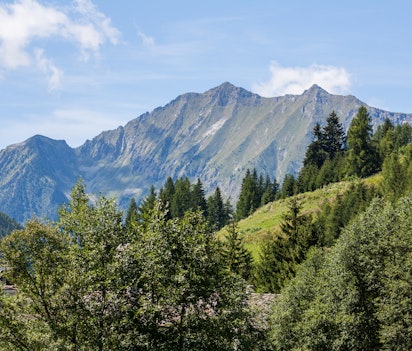 Idyllisk sommerlandskab i Val d'Ayas dalen med traditionelle Walser stenhuse og grønne enge under Monte Rosa bjergene i Aosta, Norditalien