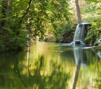 Idyllisk vandfald i Bois de Vincennes parken i Paris med smukke refleksioner i vandet og grøn vegetation
