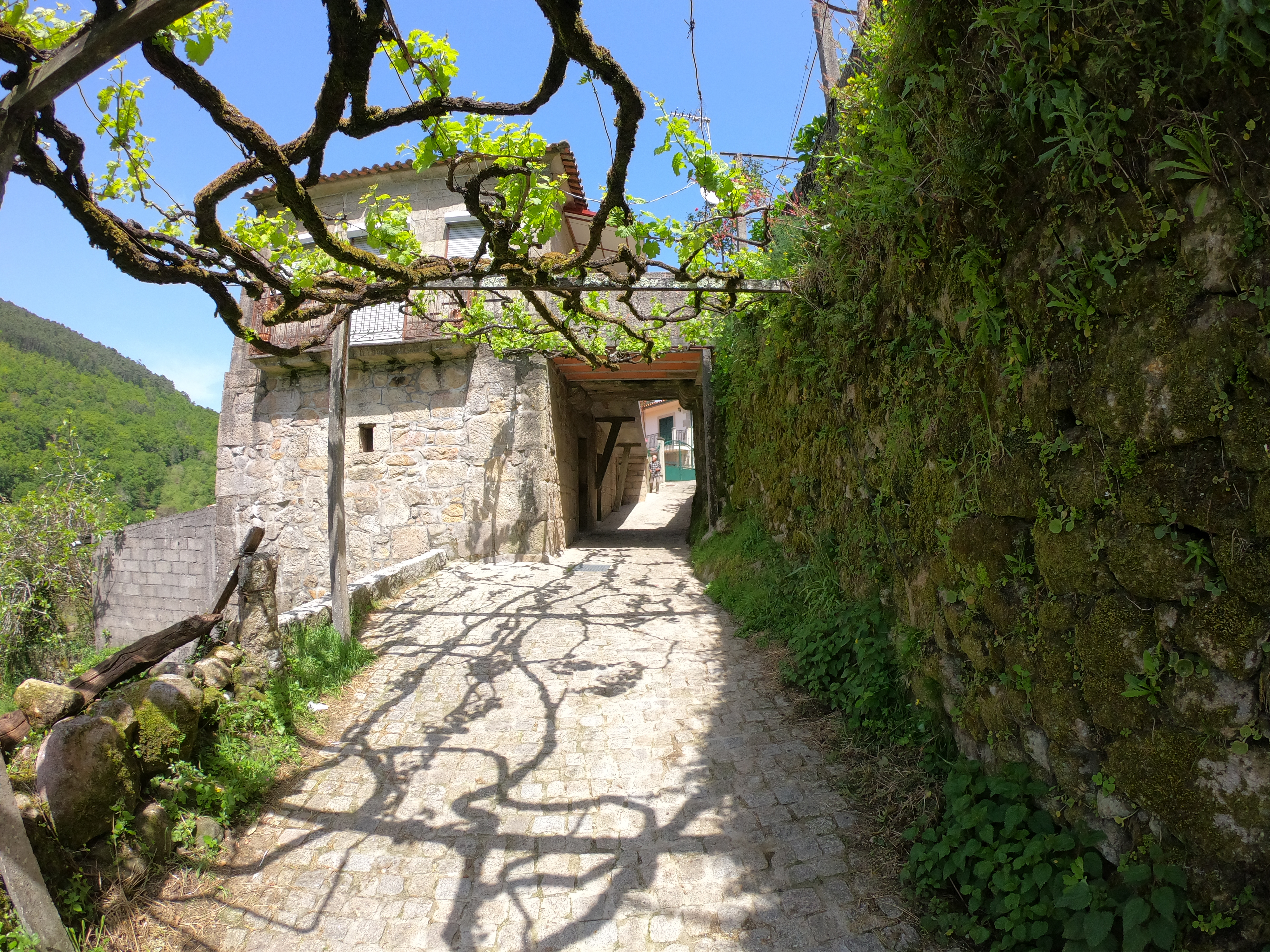 vandreferie_i_portugal_05