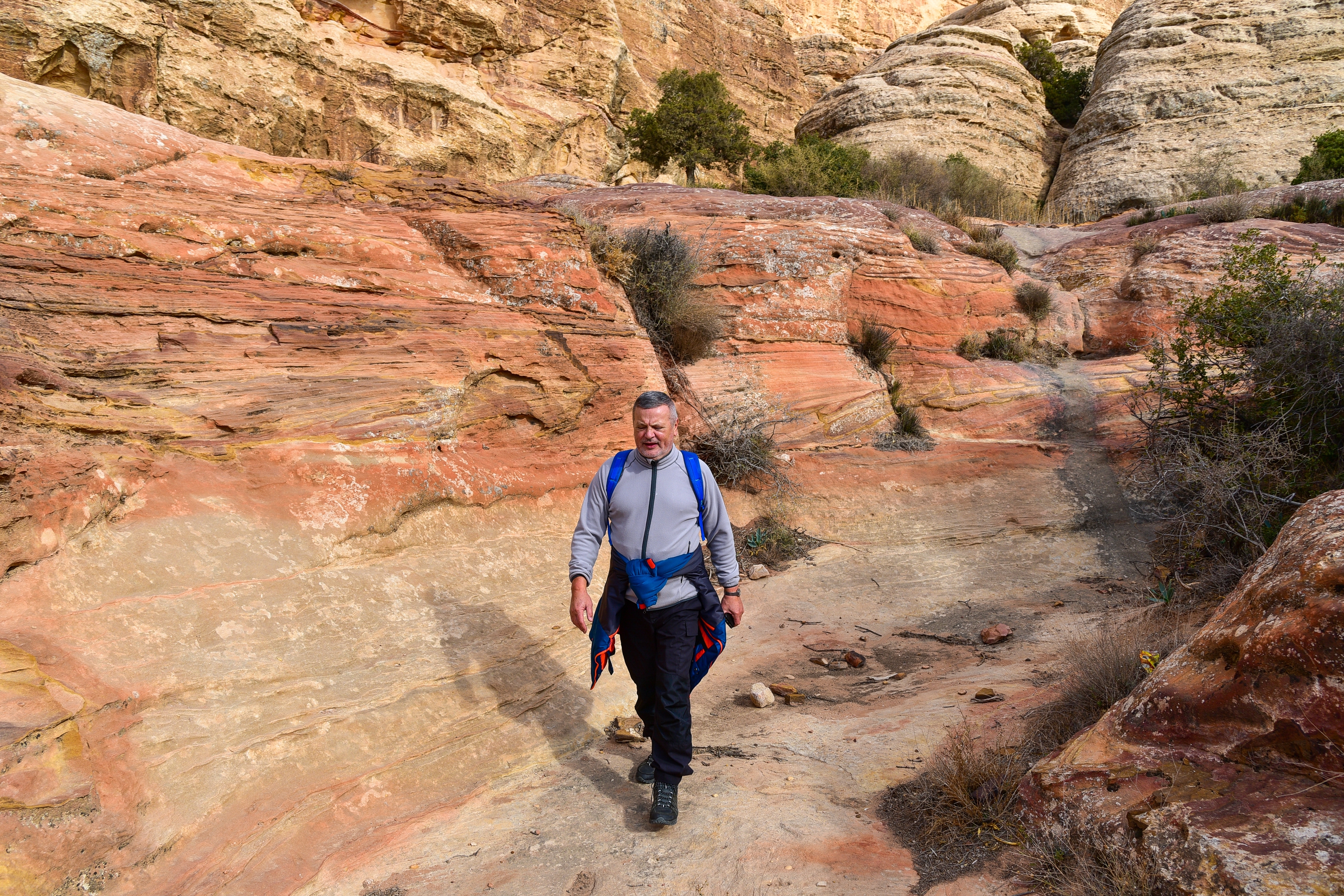 Mandlig vandrer udforsker sandstensklipper i Dana Biosfære Reservat Jordan