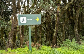 Vandrestiskilt i den frodige laurbærskov i Garajonay Nationalpark på vej til Imada landsbyen på La Gomera