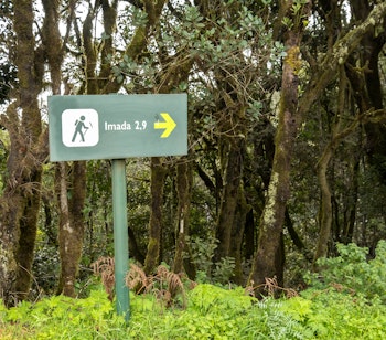Vandrestiskilt i den frodige laurbærskov i Garajonay Nationalpark på vej til Imada landsbyen på La Gomera