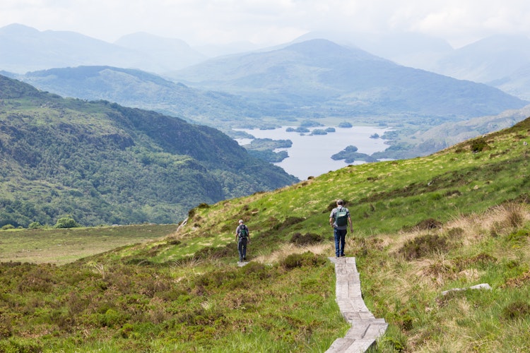 Smuk træbelagt vandresti på Torc-bjerget med udsigt over Upper Lake i Killarney Nationalpark, Irland