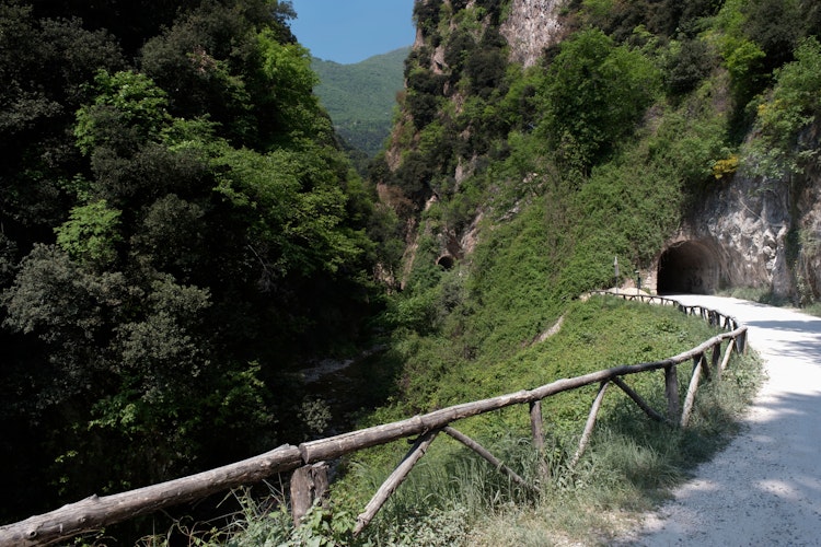 Smuk vandrerute gennem Valle delle Cartiere i Norditalien med stejle bjerge, grønne skove og blåt flodvand