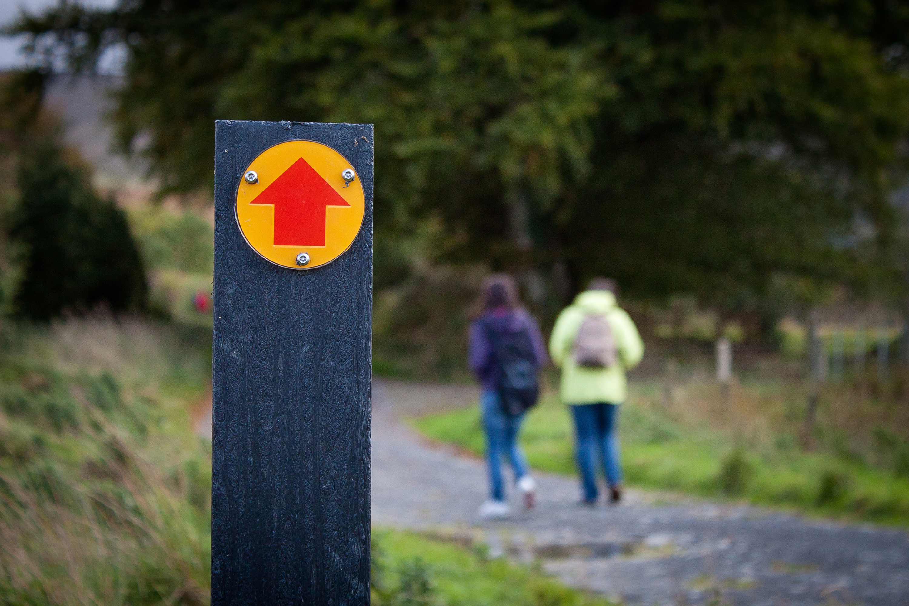 To vandrere på sti i Wicklow Mountains National Park, Irland, med et gult og rødt retningsskilt i forgrunden