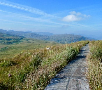 Naturskøn vandresti der fører op til Torc Mountain i Killarney Nationalpark, Irland