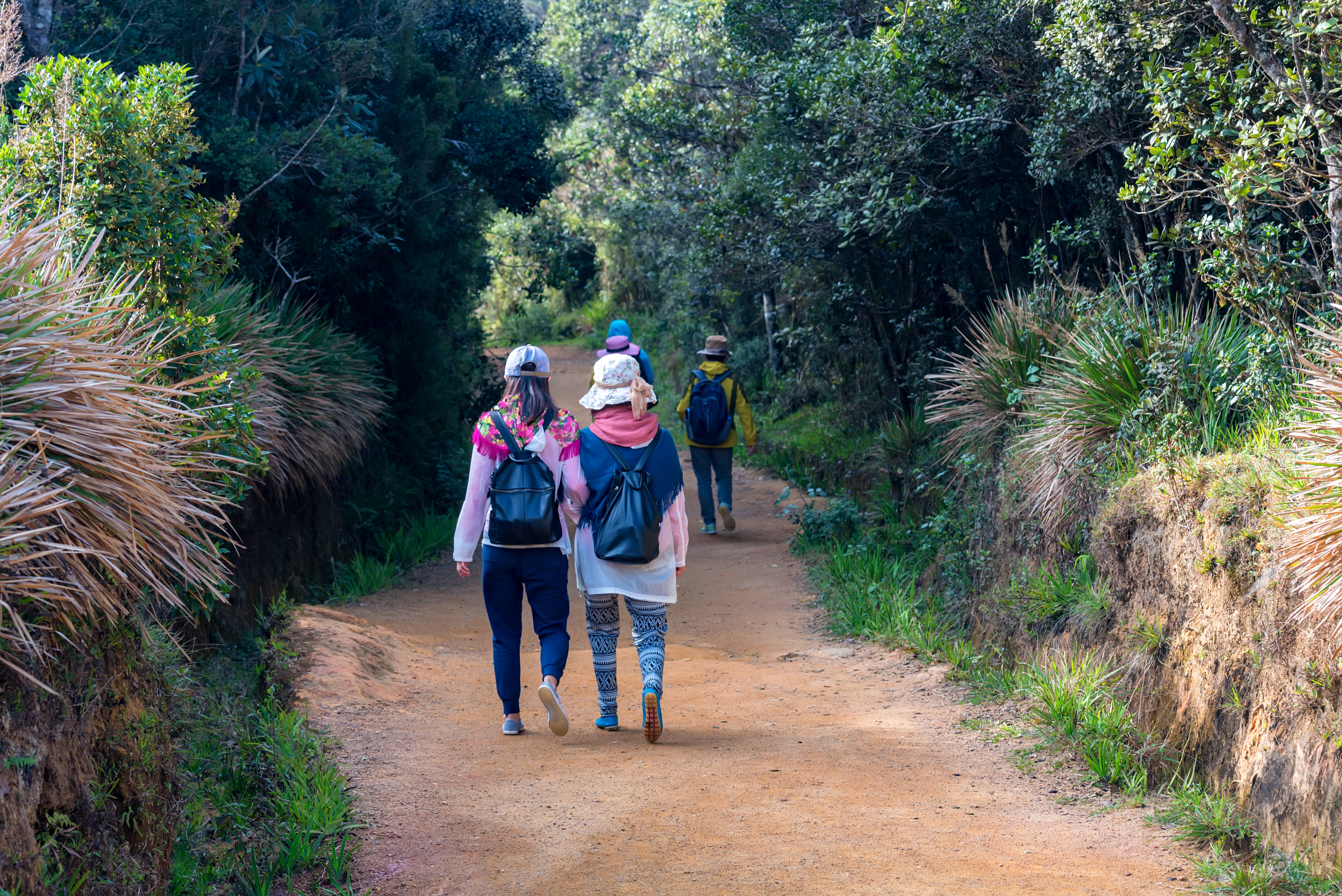 Gruppe af vandrere på natursti i Sri Lanka nationalpark