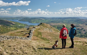 Vandrere med hund nyder den spektakulære udsigt over Windermere-søen og Ambleside fra Fairfield Horseshoe-ruten i Lake District Nationalpark