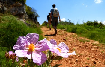 Naturskøn vandresti ved Rocha da Pena i Algarve med vilde lyserøde blomster i forgrunden og vandrer på den stenede sti