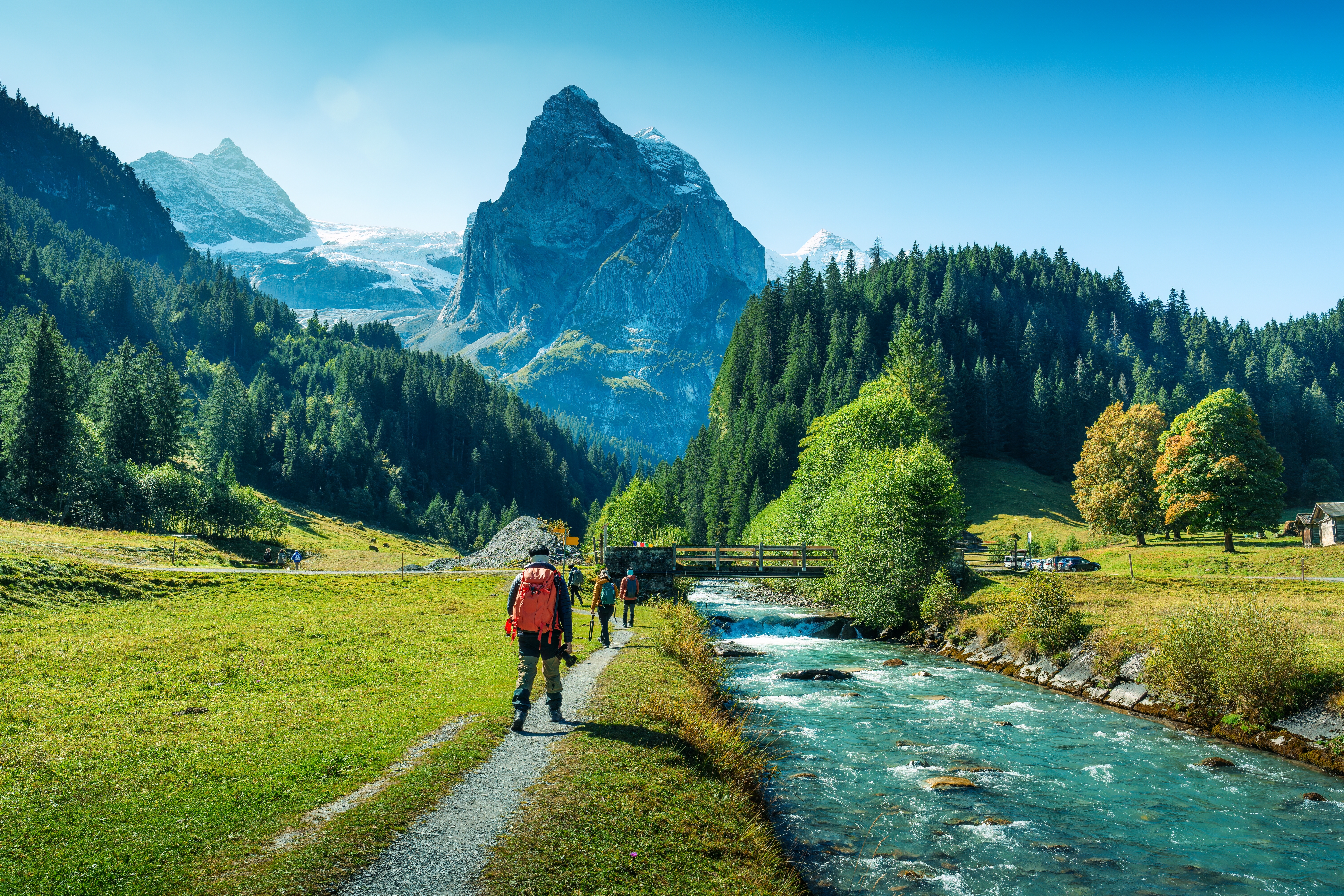 Vandrere går langs en turkisblå gletscherflod gennem en frodig alpin dal i Rosenlaui, Berner Oberland, Schweiz, med dramatiske sneklædte bjergtinder og tætte nåleskove i baggrunden