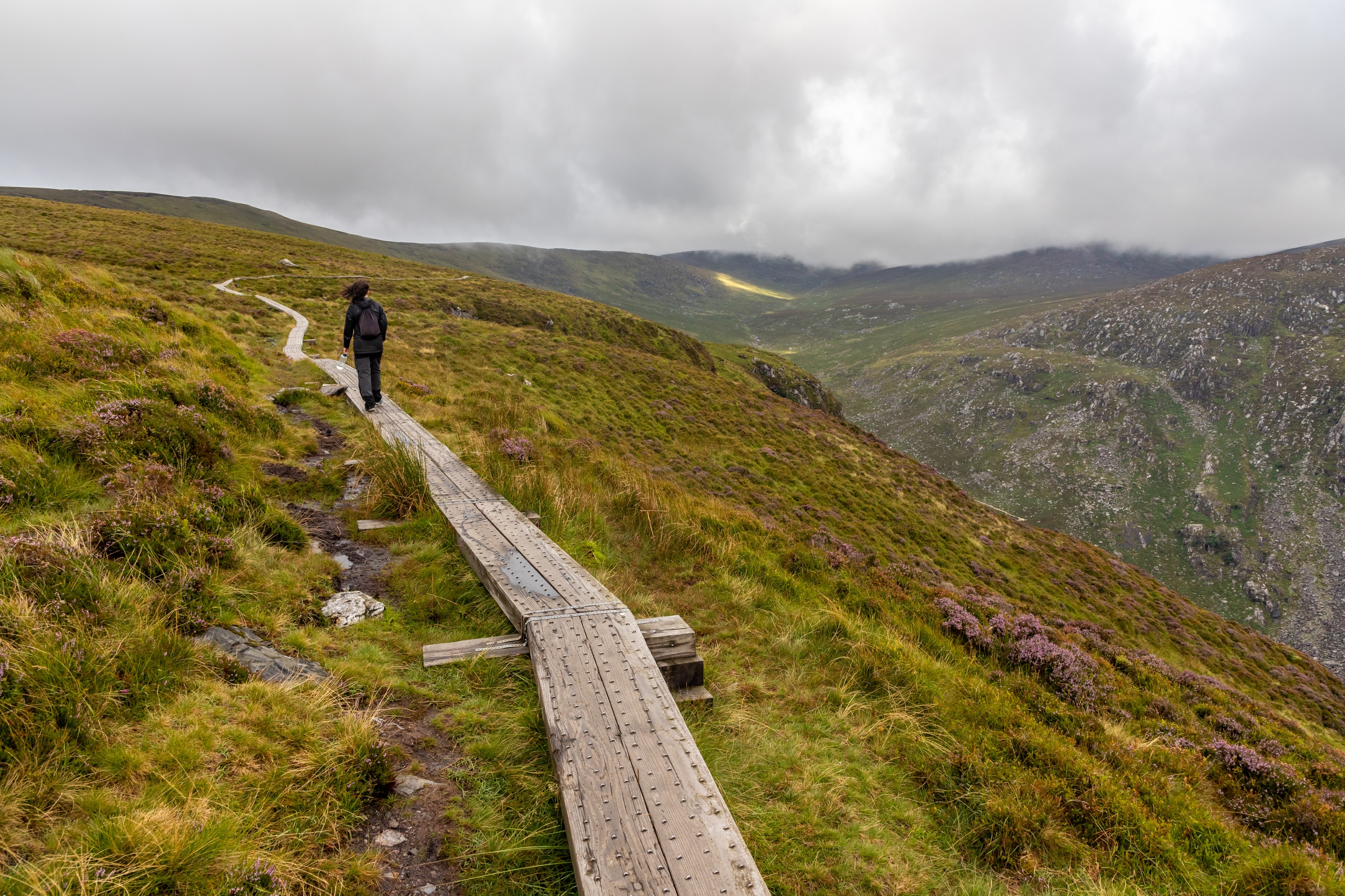 Vandrer på træstikvej gennem det grønne bjerglandskab i Wicklow Mountains, Irland