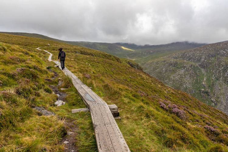 Vandrer på træstikvej gennem det grønne bjerglandskab i Wicklow Mountains, Irland